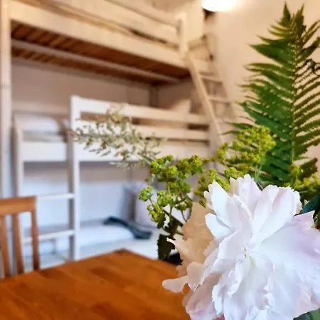 Lollis Hostel Dresden