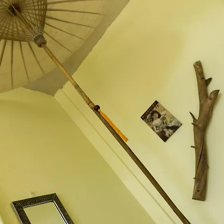 Lollis * Δρέσδη