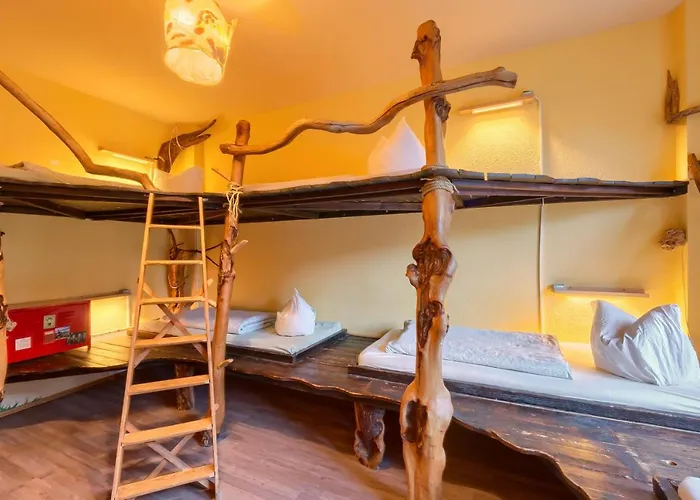 Lollis Auberge de jeunesse Dresde