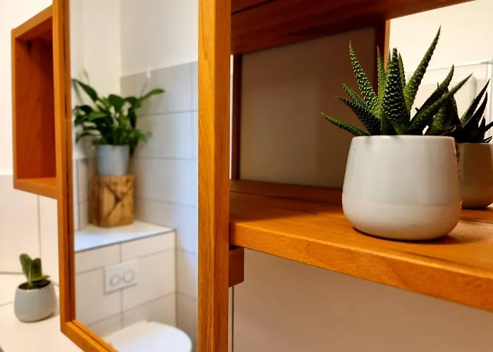 Hostel Lollis Drezno