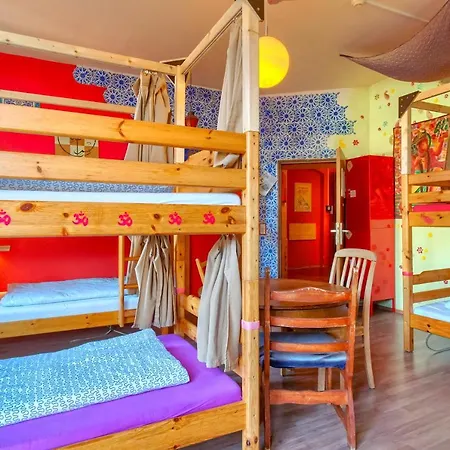 Lollis אכסניה *