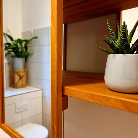 אכסניה Lollis דרזדן